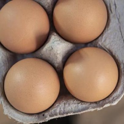 Warburg pode investir até US$ 1 bilhão na Global Eggs, segundo fontes