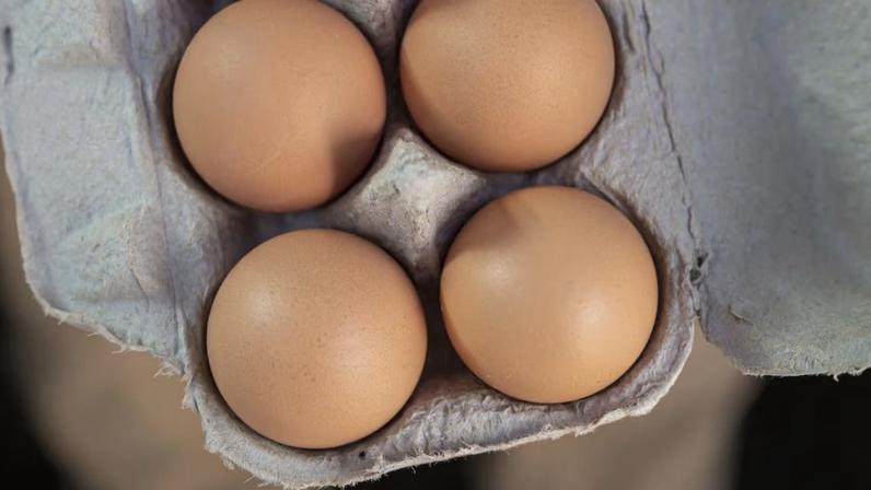 Acordo ocorre após a aquisição de US$ 1,1 bilhão da rival produtora de ovos Hillandale Farms pela Global Eggs nos Estados Unidos (Foto: Bloomberg)