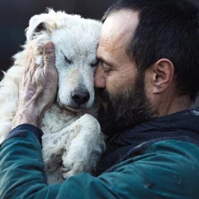 Estudo associa ter cachorro à maior longevidade