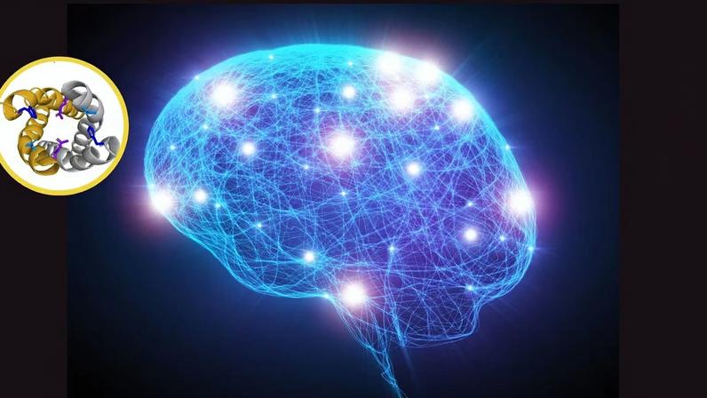 Estudo revela papel do TMEM175 no Parkinson. (Foto: Getty Images via Canva e Tobias Schulze el al via PNA)