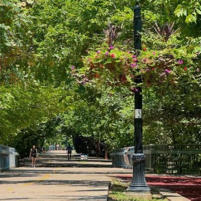 Nova bienal de arte pública ocupará parque verde urbano de Dallas