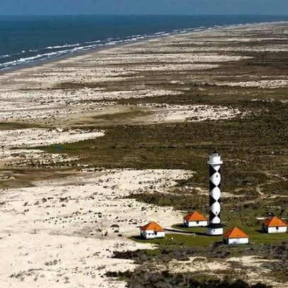 Brasil protege área costeira com golfinhos ameaçados e fósseis de megafauna