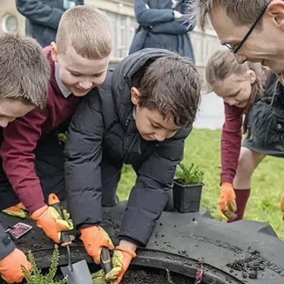 Serão criados espaços naturais para borboletas em Glasgow