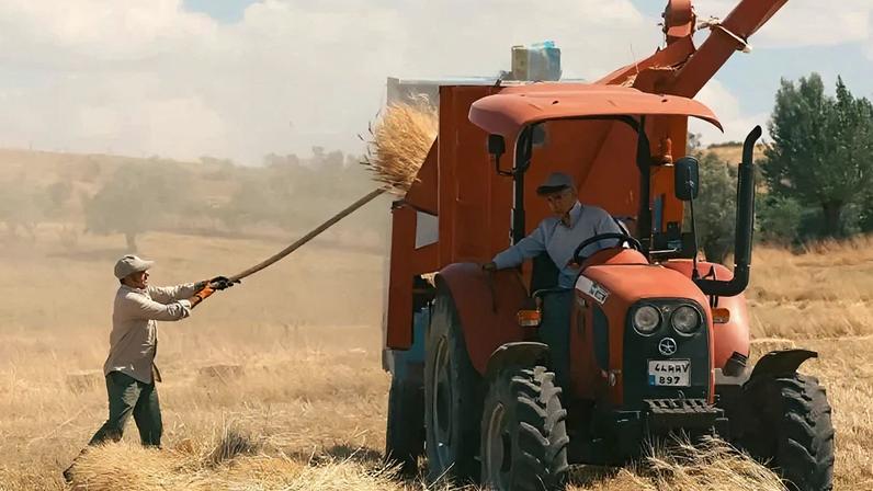 As regiões Sudeste e Sul concentram 79% das agtechs, porém há crescimento proporcional nas regiões Norte, Nordeste e Centro‑Oeste, aproximando as startups das áreas de produção agropecuária