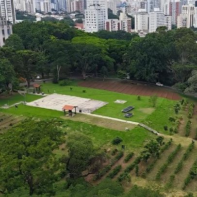 Maior cafezal urbano do mundo fica no Brasil e será ampliado