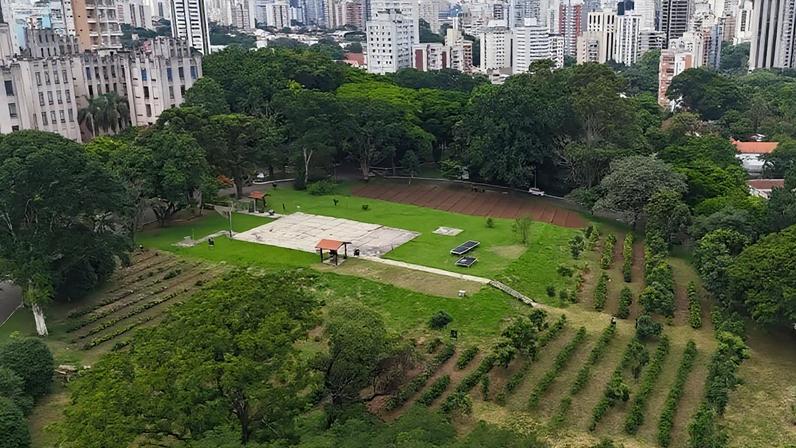 Imagem de drone obtida do cafezal urbano em São Paulo