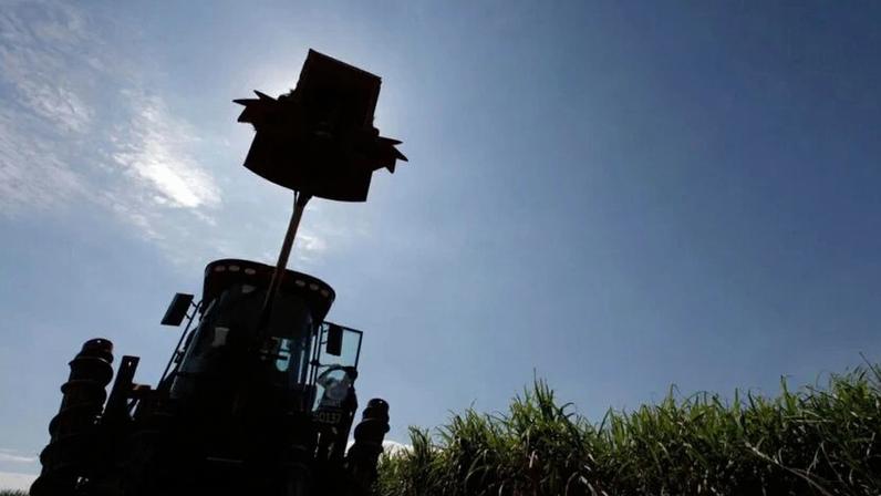 Colheita de cana em Piracicaba