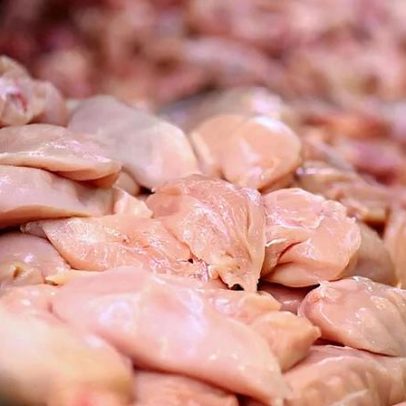 Exportação de frango atinge recorde em fevereiro com US$ 945,4 milhões
