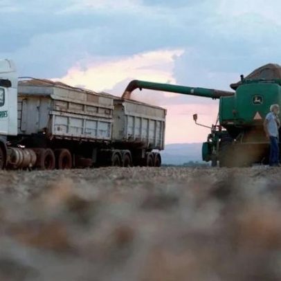 Pedidos de recuperação judicial no agronegócio sobem 56,4% em 2025