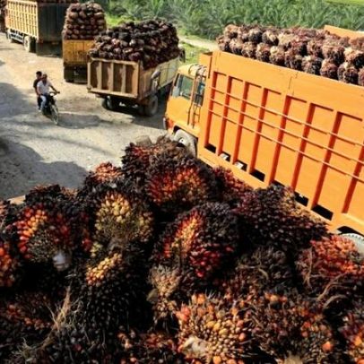 Indonésia projeta mistura B50 de biodiesel em meio à alta do petróleo