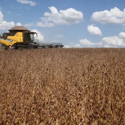 3tentos registra lucro de R$ 82,4 milhões e queda de 39% no 4º trimestre