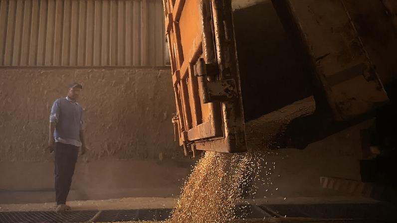 A guerra dos EUA e Israel contra o Irã ocorre em um dos momentos em que o agronegócio brasileiro tem sua maior demanda por diesel