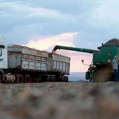Exportação do Agro brasileiro cresce 7,4% em fevereiro e atinge recorde