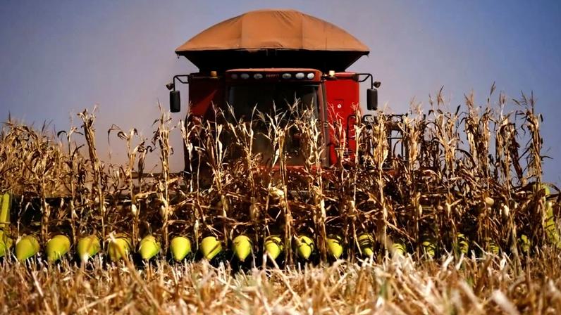 Colheita de milho próxima a Brasília