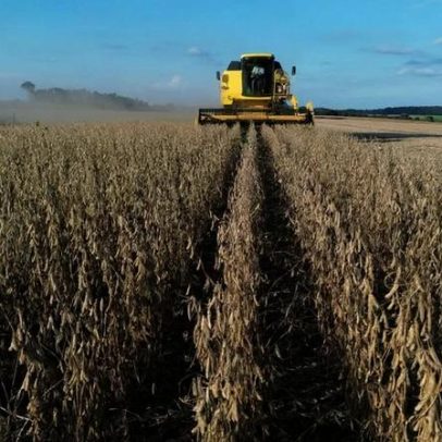 Agroconsult eleva previsão de safra de soja no Brasil após rally