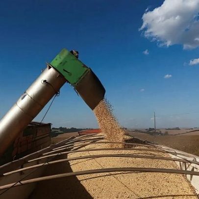 Colheita de soja no Brasil atinge 61% da área, aponta AgRural