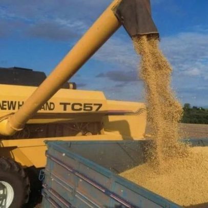 Projeção de safra de soja sobe para 178 milhões de t após perdas no RS