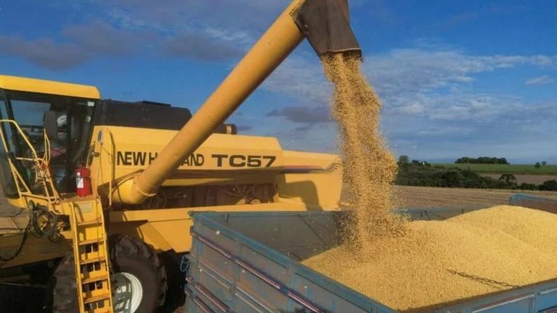 Colheitadeira colhe soja em fazenda em Lagoa dos Três Cantos, no Rio Grande do Sul 01/04/2025