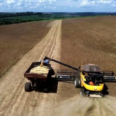 Abiove projeta safra de soja de 179 milhões de t em 2026