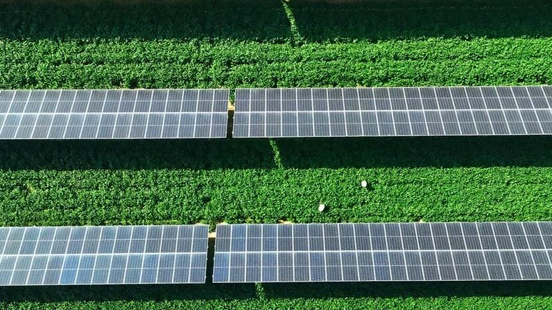 O custo da energia solar fotovoltaica caiu 90%, diz o relatório do Fórum Econômico Mundial