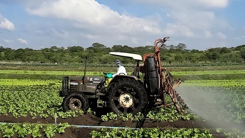 Máquina agrícola faz a pulverização com agrotóxicos em plantação de alface, em Mogi das Cruzes, na região metropolitana de São Paulo