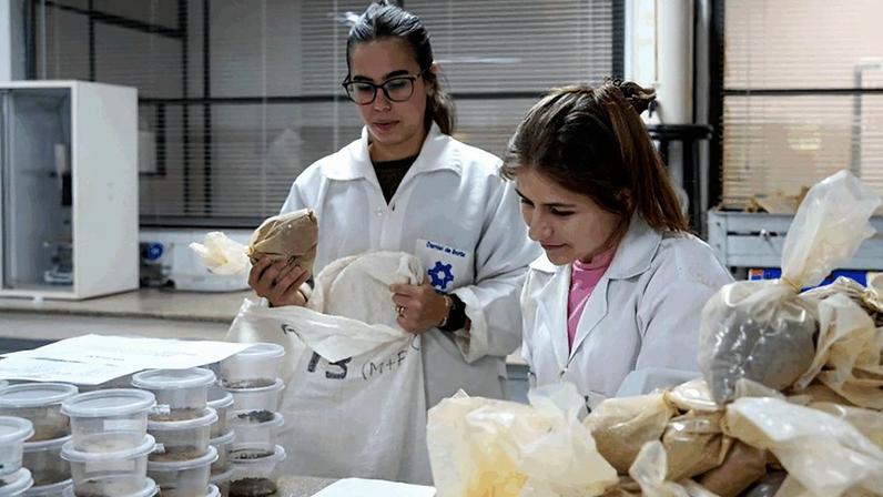 Pesquisadores usarão amostras de solo para quantificação do carbono e para determinar indicadores de densidade, textura e propriedades químicas; na imagem, cientistas separam amostras de solo