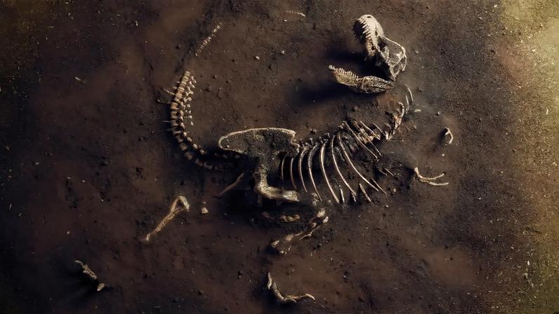 Cristãos podem acreditar na existência de dinossauros? estudo analisa fé e ciência