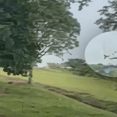 Vídeo mostra avião militar da Colômbia momentos antes de queda