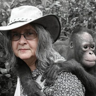 Birutė Galdikas, primatologista que estudou e defendeu orangotangos morre aos 79
