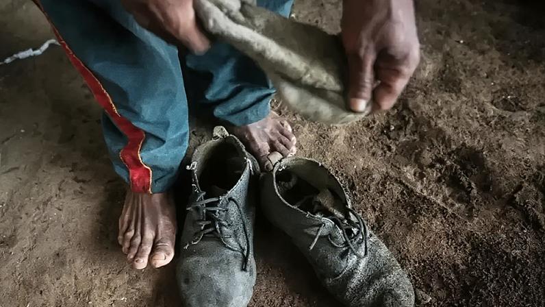 Criação de gado é uma das atividades em que há mais pessoas em situação análoga à escravidão