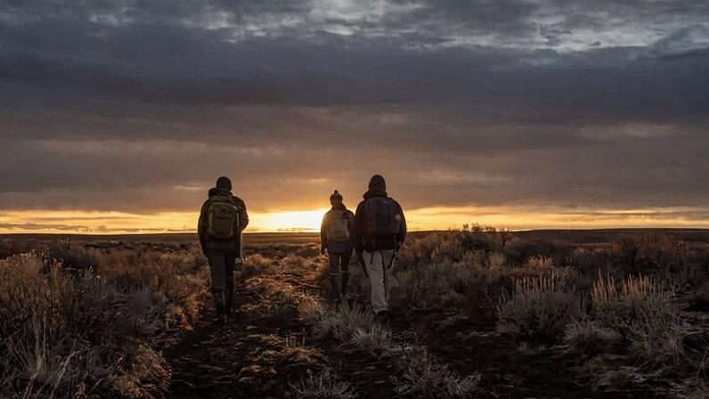 Estressores emocionais e psicológicos afetam profissionais da conservação
