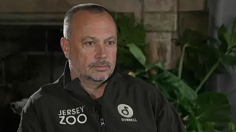 Novo diretor do zoológico avalia plano para espécies em risco