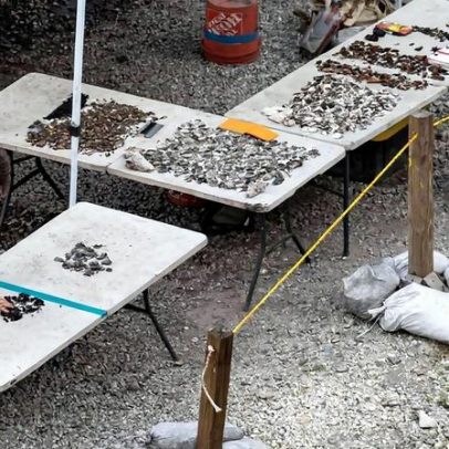 Os sítios indígenas de Miami enfrentam futuro incerto