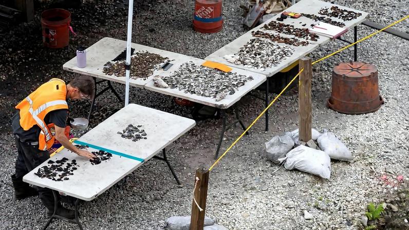 Os sítios indígenas de Miami enfrentam futuro incerto