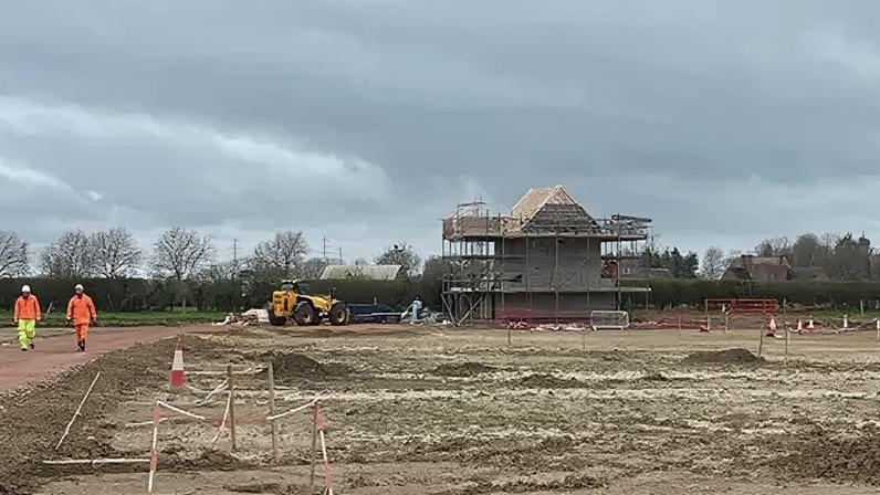 Custo de 166 mil libras para realocação de morcegos preocupa gestores