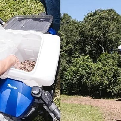 Drones simulam insetos para proteger espécies nativas