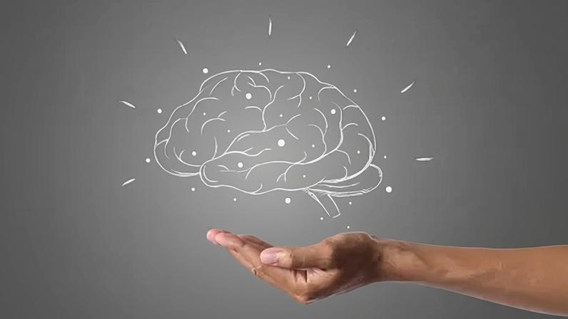 Projeto busca compreender como o estudo do cérebro impacta áreas como saúde, comportamento, tecnologia e inovação