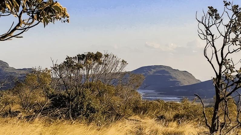 O Cerrado é o segundo maior bioma brasileiro e abriga cerca de 5% da biodiversidade mundial