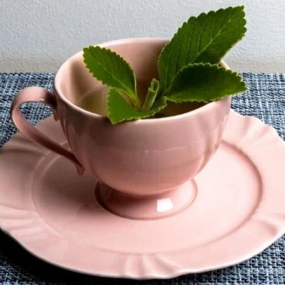 Chá de boldo: para que serve e três receitas para o dia a dia