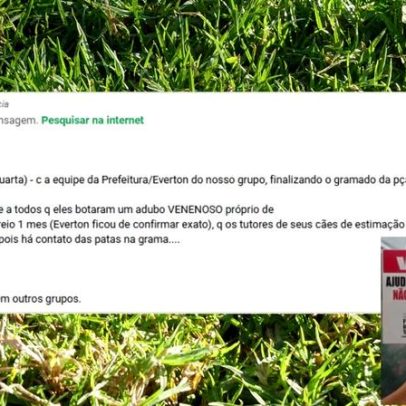 Prefeitura de BH nega uso de adubo supostamente venenoso em praça, esclarece