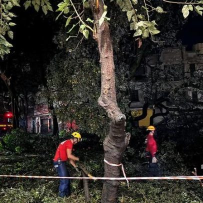 Chuvas fortes derrubam 151 árvores e atingem 21 carros em 48h em BH