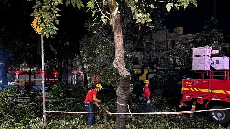 Bombeiros atuam na remoção de árvore que caiu na avenida do Contorno, próximo à esquina com a rua Célio de Castro, no bairro Floresta