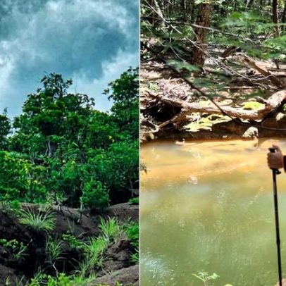 Idoso desaparecido há nove dias é encontrado em área de mata no interior de MG