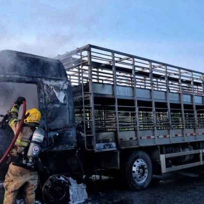 Incêndio atinge caminhão na MGC-383; porcos morrem, motorista escapa