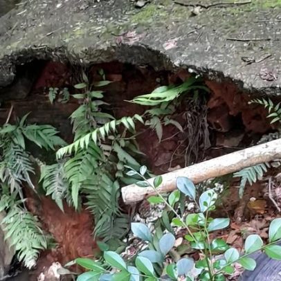 Moradora de área de risco na Vila da Luz reclama atraso na desapropriação