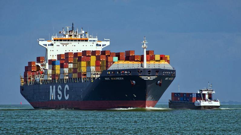 Biocombustíveis na navegação podem agravar terras na África e insegurança alimentar