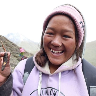 Comércio sustentável de plantas silvestres beneficia pessoas e planeta
