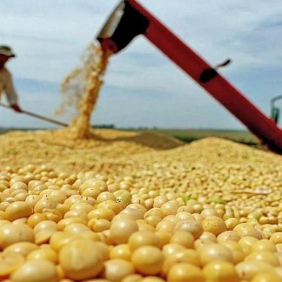 Exportações de soja paralisadas por rigor sanitário chinês