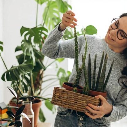 Cuidados com plantas no outono: 5 dicas que podem fazer a diferença