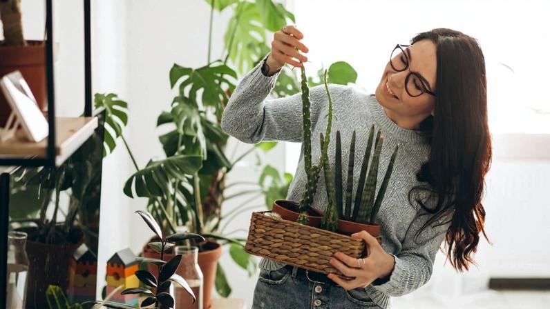 Com a chegada do outono, é necessário dar atenção especial às plantas